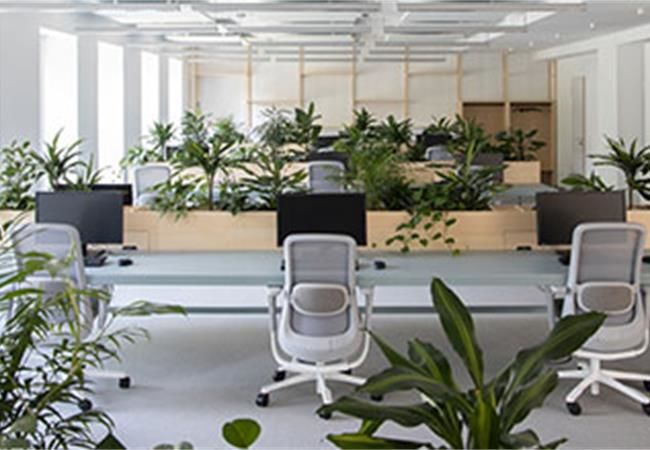 合肥工装公司:办公室装修采光设计有哪些技巧？